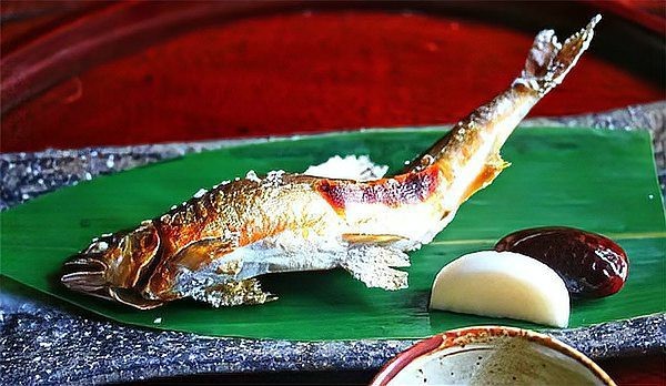 日本淡水魚大全一覽表【《日本淡水魚大全一覽表》】 日本淡水魚大全一覽表【《日本淡水魚大全一覽表》】 龍魚論壇 第3張