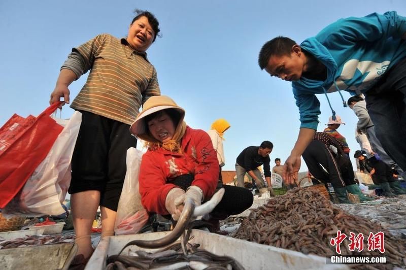 哪里可以購買到巨骨舌魚？【如何購買巨骨舌魚】