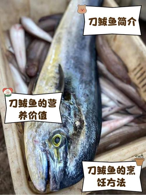刀鱭魚(yú)圖片【刀鱭魚(yú)是一種極具特色的魚(yú)類，文中呈現(xiàn)的刀鱭魚(yú)】