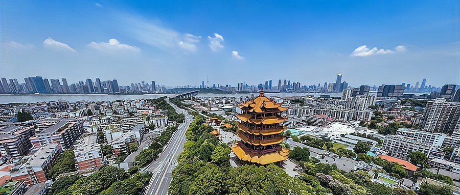 刀鱭魚(yú)圖片【刀鱭魚(yú)是一種極具特色的魚(yú)類，文中呈現(xiàn)的刀鱭魚(yú)】