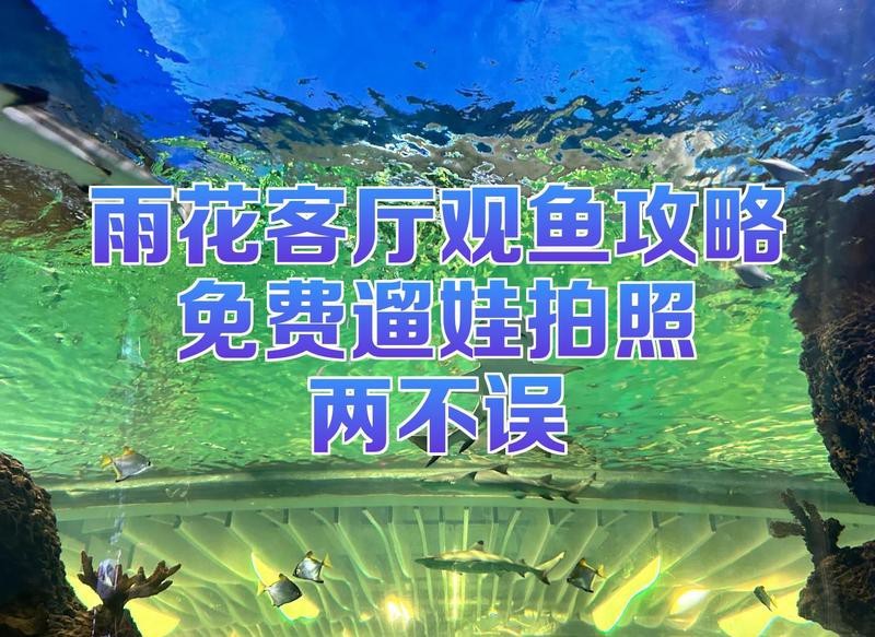 雨花臺(tái)龍魚(yú)店【南京雨花臺(tái)區(qū)有龍魚(yú)實(shí)體店嗎】