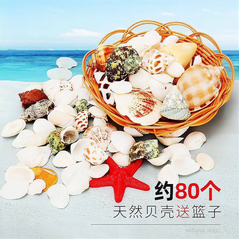 班戈水族店【班戈有哪些推薦的水族店】