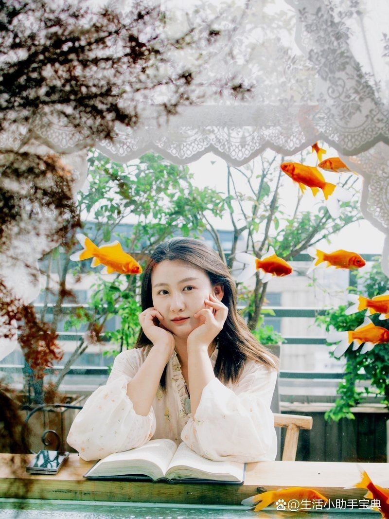 銅陵魚缸店【銅陵魚缸店——水族愛好者的寶藏之地】