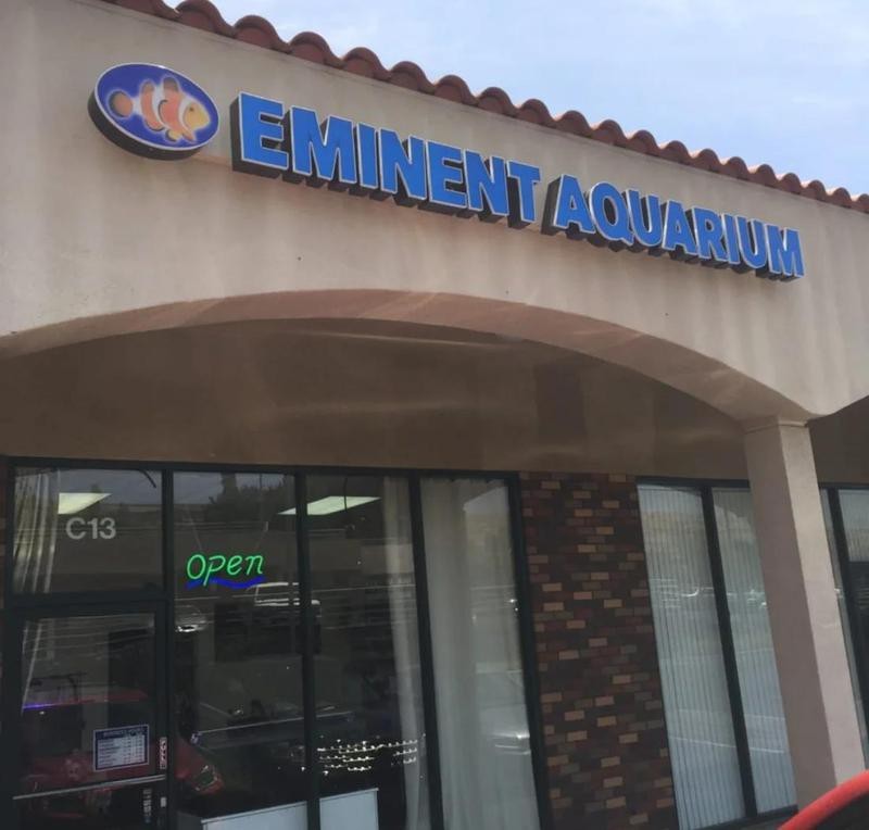 涵江水族店【涵江水族店：水下世界的奇妙角落】