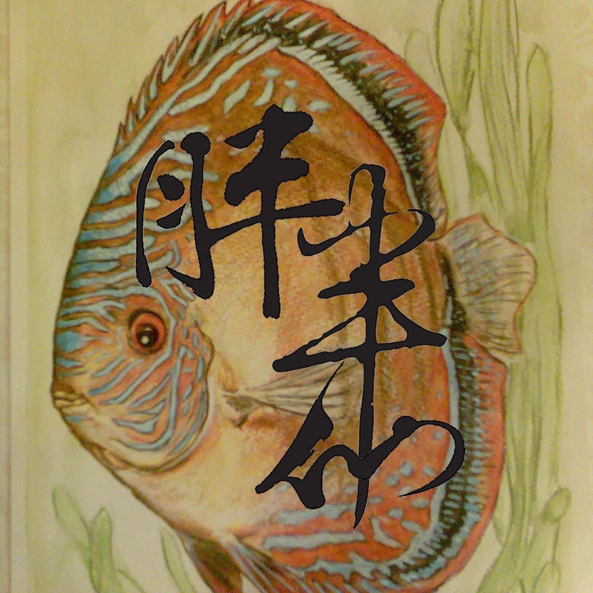 紅財神魚不吃食最簡單解決辦法【紅財神魚不吃食怎么辦】