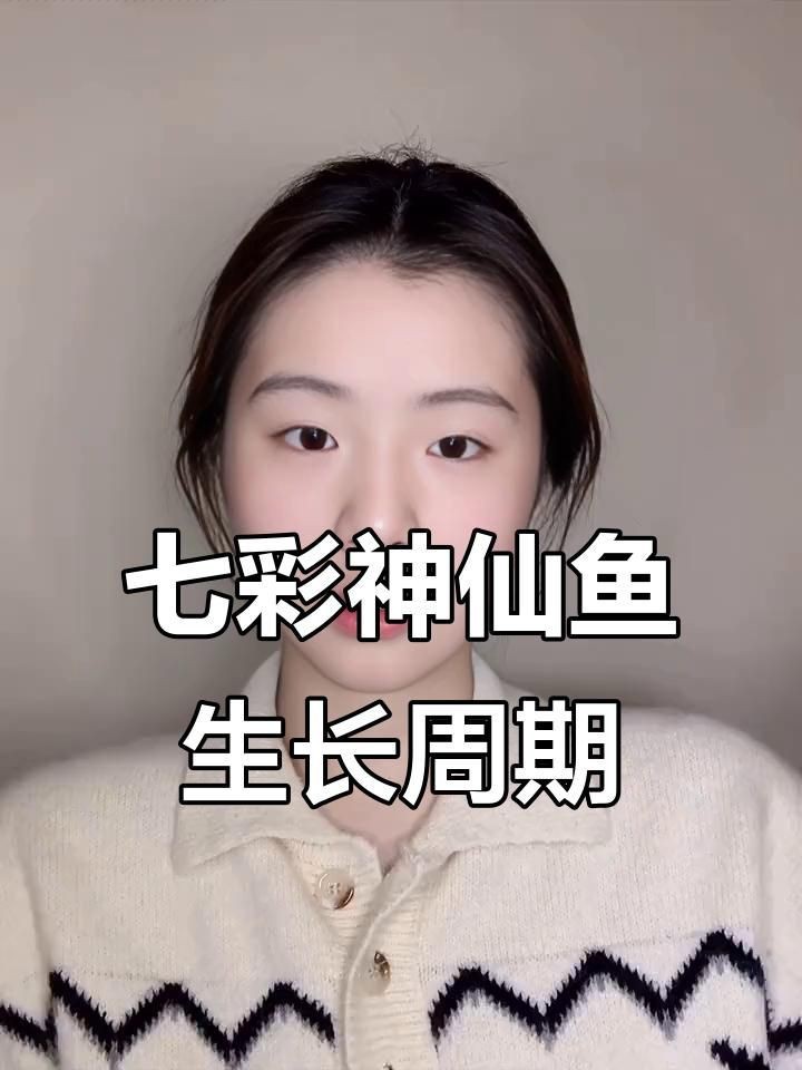藍面財神七彩神仙魚【藍面財神七彩神仙魚養殖技巧】
