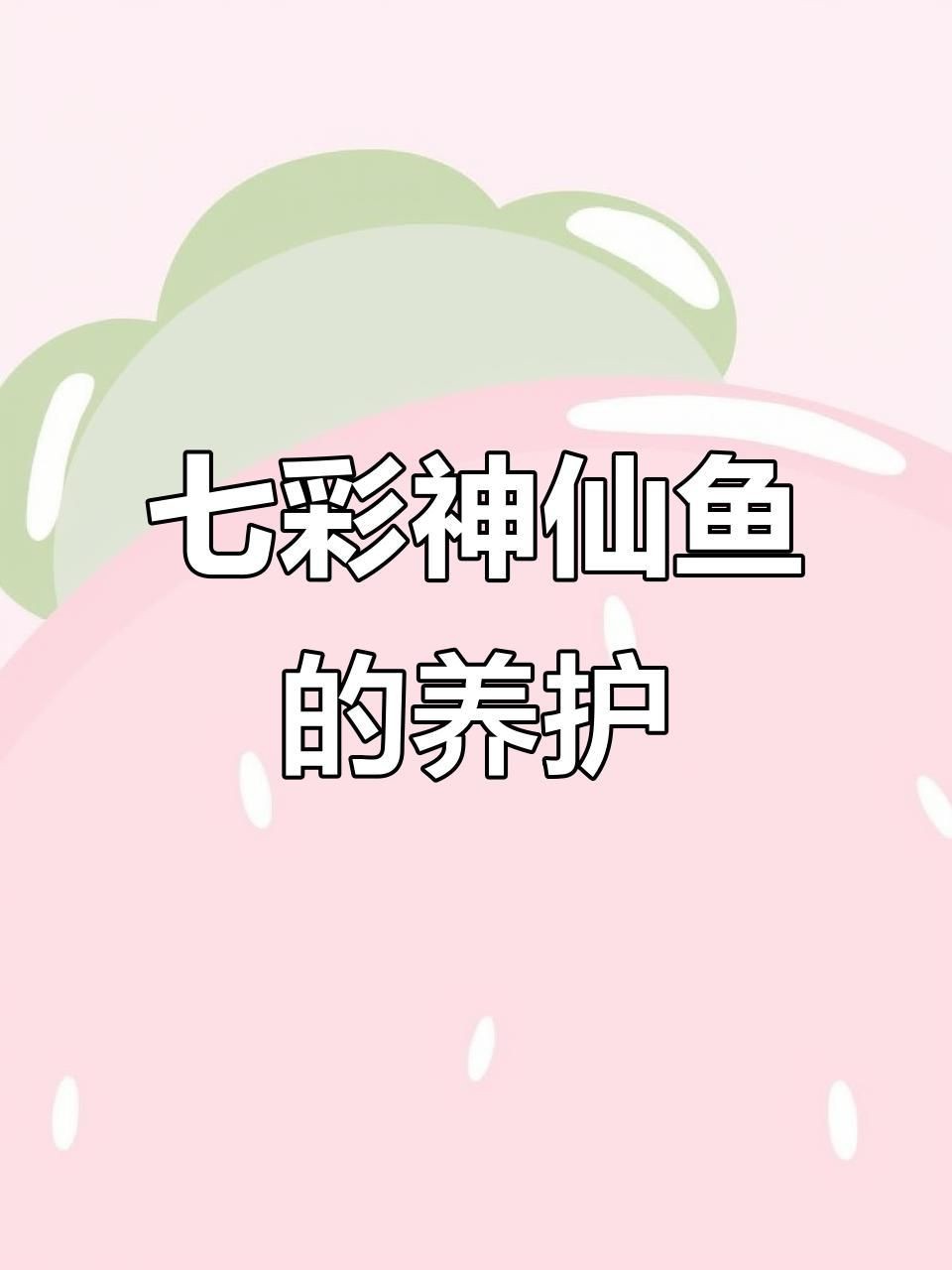 藍面財神七彩神仙魚【藍面財神七彩神仙魚養殖技巧】