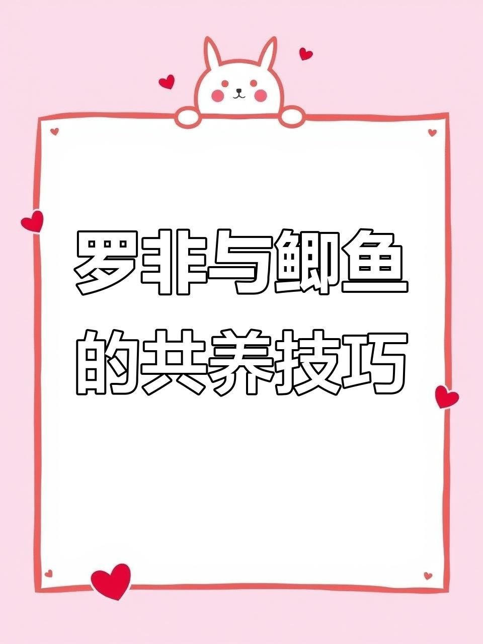 羅非魚能和什么魚混養【保姆羅非魚混養最佳搭配暮小南羅非魚和鯽魚能一起養嗎】