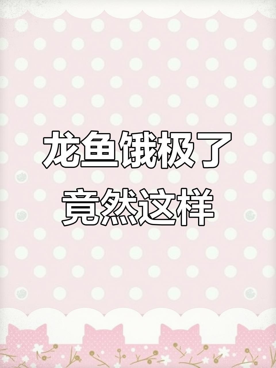 如何判斷龍魚是否饑餓？【如何判斷龍魚是否吃飽三個階段】