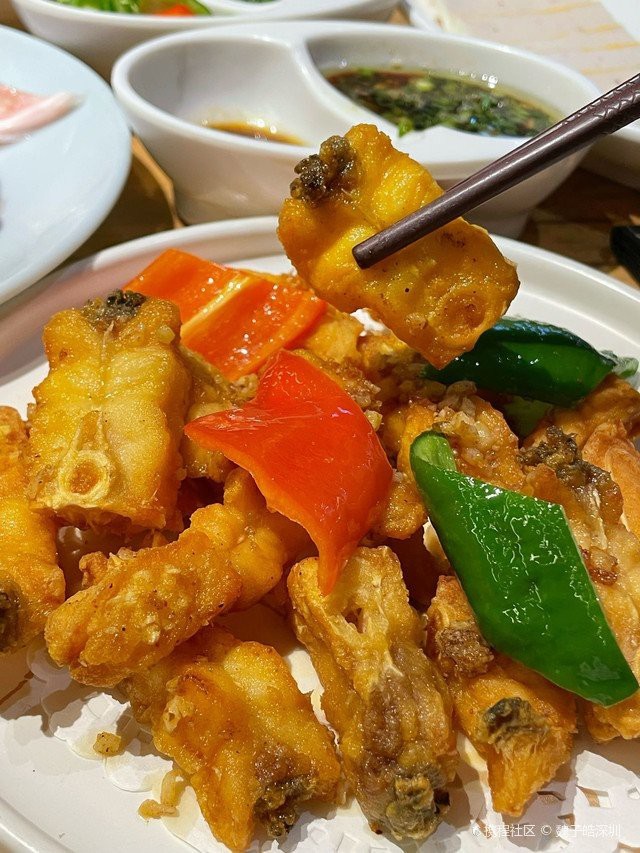 西鄉龍魚店【深圳寶安西鄉龍魚店】
