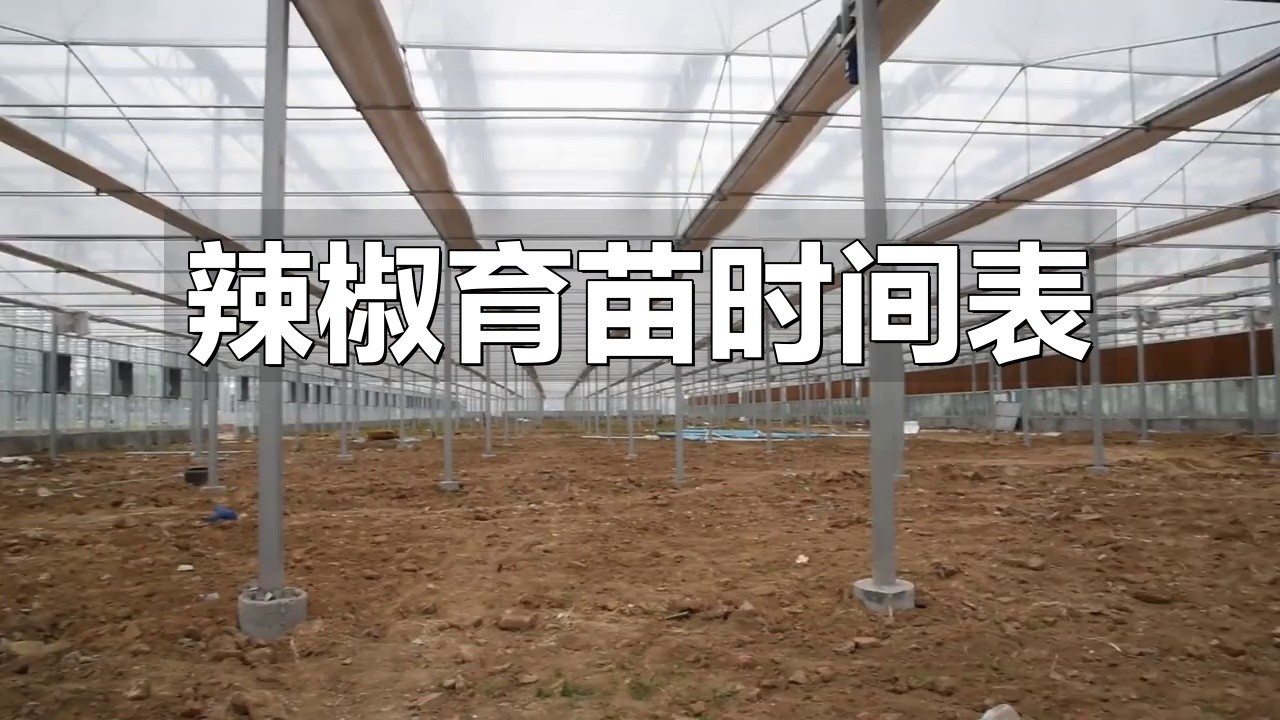 紅龍23辣椒的最佳種植時間【紅龍23辣椒最佳種植時間至關重要，種植時間至關重要】 紅龍23辣椒的最佳種植時間【紅龍23辣椒最佳種植時間至關重要，種植時間至關重要】 龍魚論壇 第1張