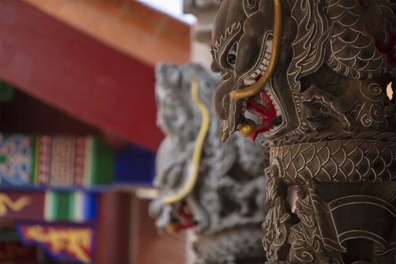 金龍?jiān)诜鸾檀硎裁础窘瘕堅(jiān)诜鸾讨芯哂卸嘀氐南笳饕饬x】 金龍?jiān)诜鸾檀硎裁础窘瘕堅(jiān)诜鸾讨芯哂卸嘀氐南笳饕饬x】 龍魚百科 第2張
