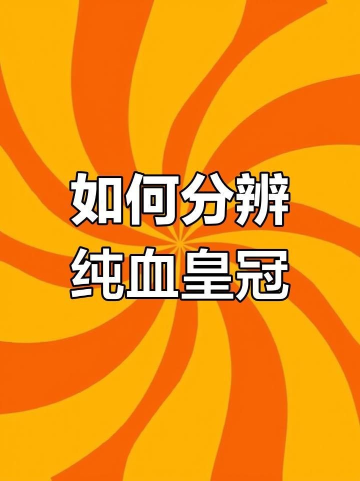 魟魚哪個品種好【淡水魟魚哪個品種好？】 魟魚哪個品種好【淡水魟魚哪個品種好？】 龍魚論壇 第5張