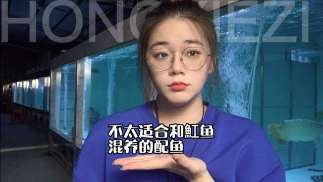 魟魚有哪些魚不能混養【魟魚在混養時存在一些不能與之混養的魚類不宜混養】