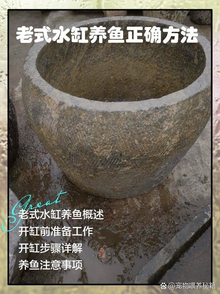 老式水缸養(yǎng)魚(yú)正確方法【農(nóng)村老水缸如何養(yǎng)魚(yú)】