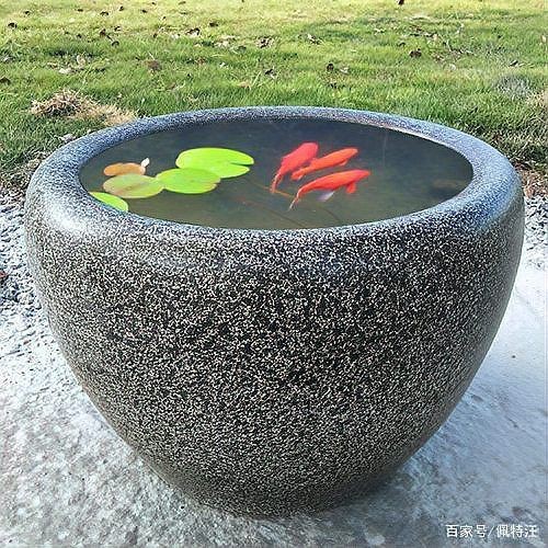 老式水缸養(yǎng)魚(yú)正確方法【農(nóng)村老水缸如何養(yǎng)魚(yú)】