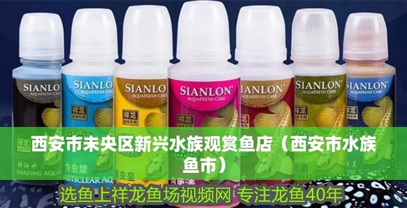 新興水族店【西安市新興水族店】 新興水族店【西安市新興水族店】 全國水族館企業名錄 第3張