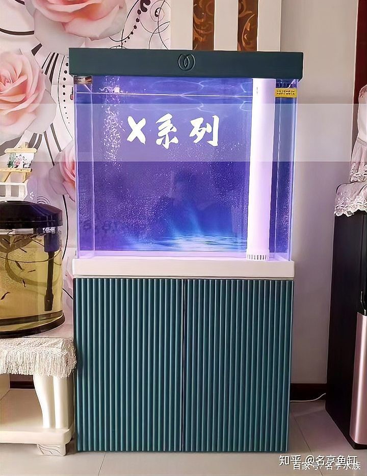 <strong><mark>清流</mark></strong>水族店【<strong><mark>清流</mark></strong>水族店——水族世界的奇妙角落】