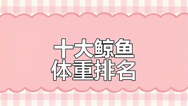 鯨魚體型大小排名【揭秘十大體型最大的鯨魚大小對(duì)比誰最大優(yōu)酷視頻揭秘】