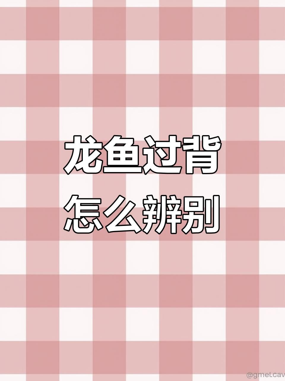 如何判斷過(guò)背金龍魚是否成熟？【如何判斷過(guò)背金龍魚是否成熟】