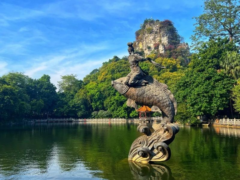 魚峰龍魚店【柳州魚峰龍魚店：水族世界的奇妙角落魚峰龍魚店】