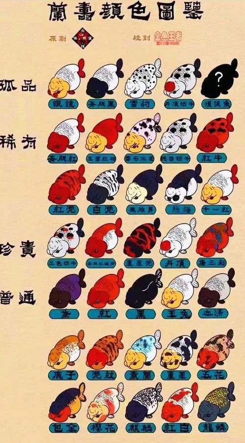 金魚108種品種圖解【《金魚108種品種圖解》】