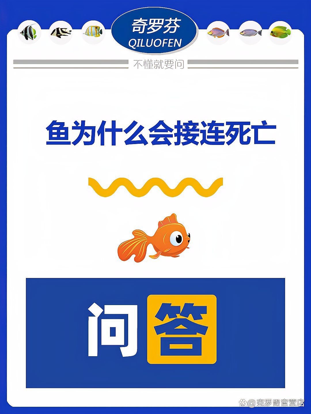 帝王三間魚死亡原因【帝王三間魚死亡的原因】 帝王三間魚死亡原因【帝王三間魚死亡的原因】 龍魚論壇 第1張