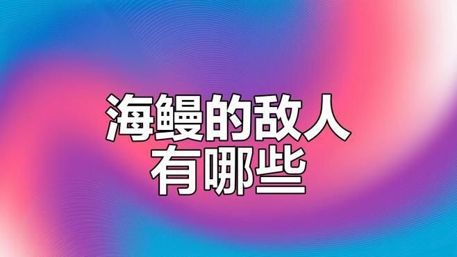 鰻魚的天敵是什么魚【糖糖談奇聞：鰻魚的天敵是什么魚小廚食光札海鰻的天敵是誰】