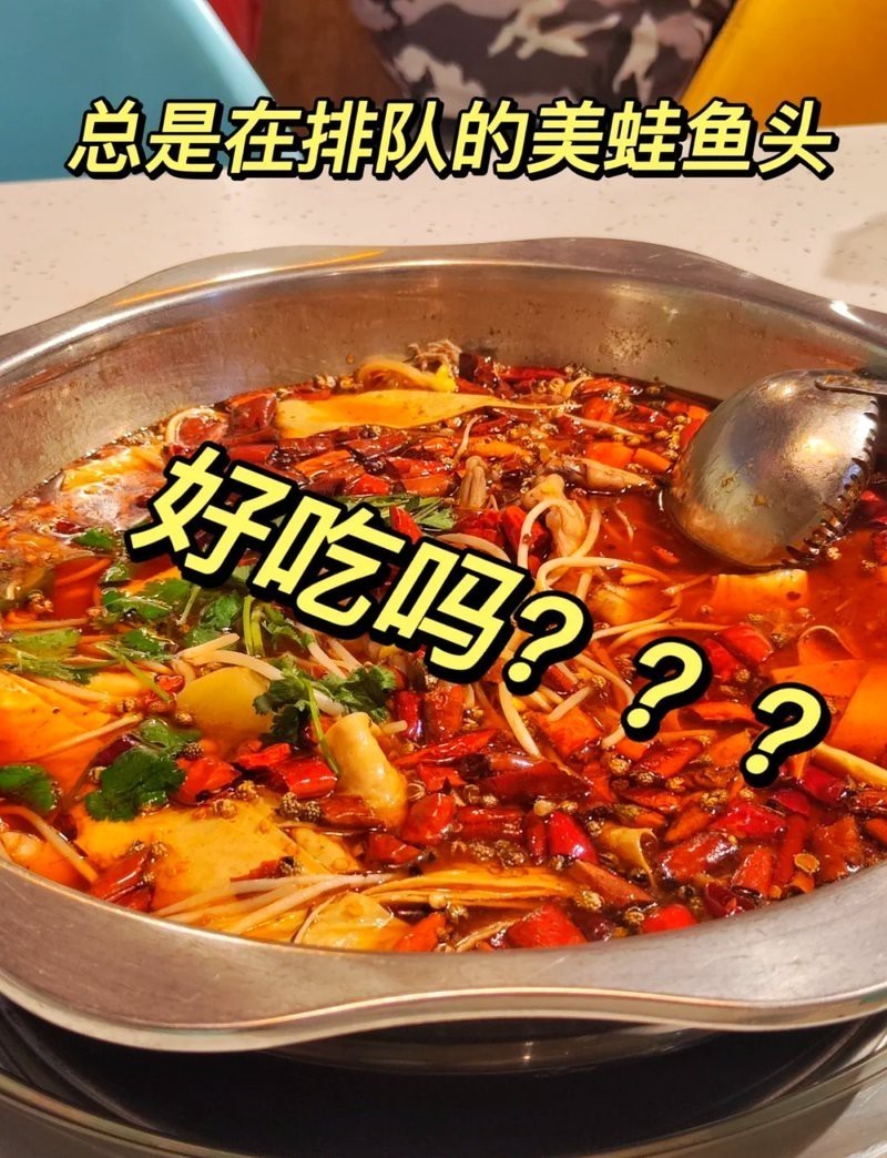 隆陽龍魚店【隆陽龍魚店有哪些特色服務】 隆陽龍魚店【隆陽龍魚店有哪些特色服務】 全國水族館企業名錄 第3張