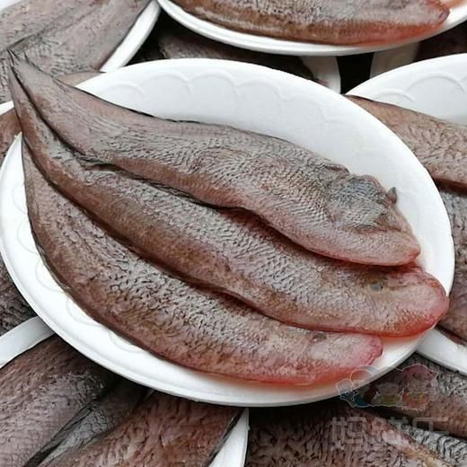 龍利魚去哪里買【網購龍利魚排行榜京東“龍利魚”鮮嫩無刺】