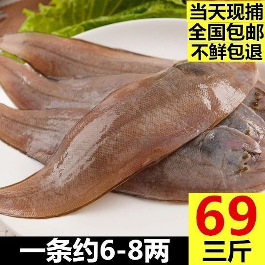龍利魚去哪里買【網購龍利魚排行榜京東“龍利魚”鮮嫩無刺】