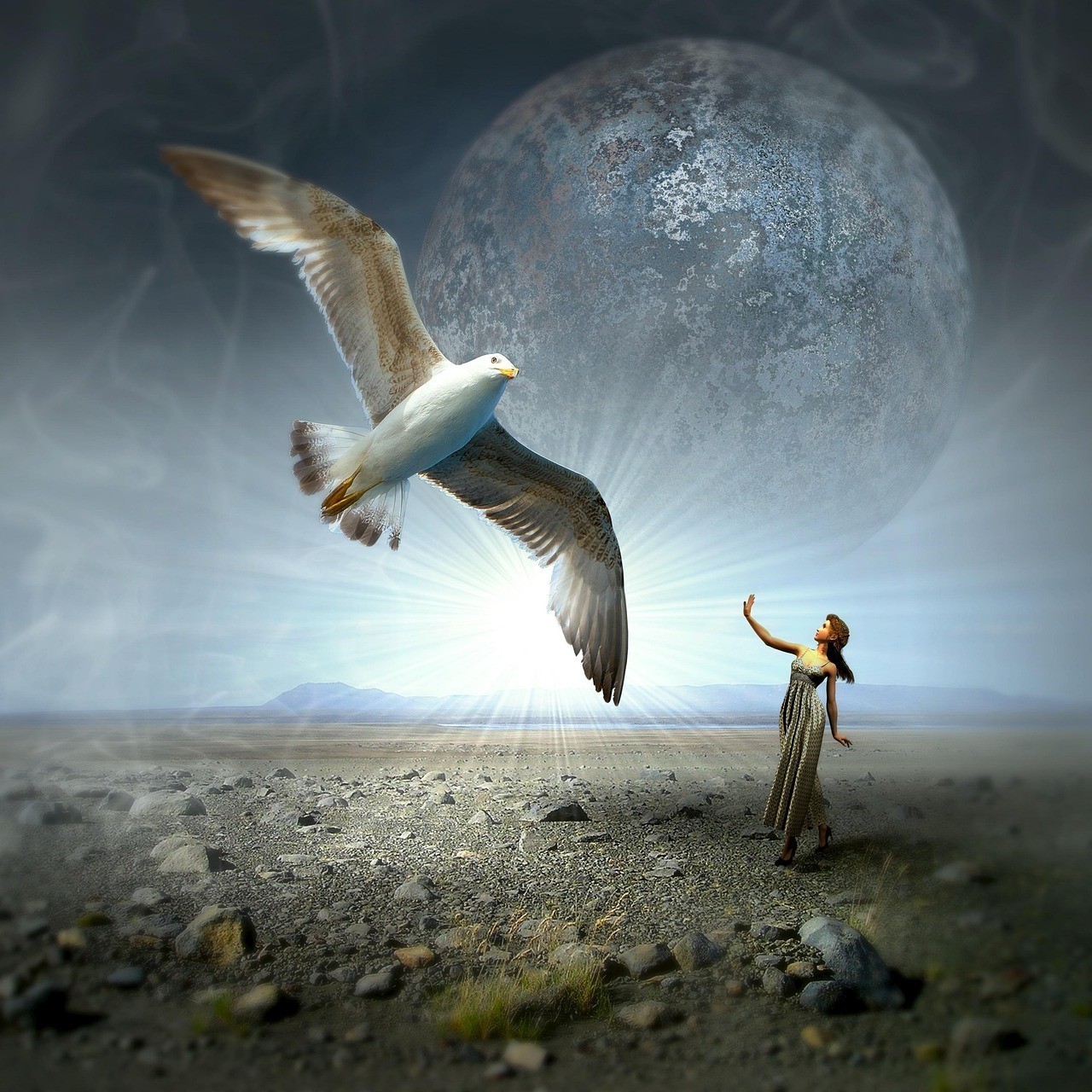 夢(mèng)幻雷龍魚養(yǎng)久了會(huì)得白血病嗎【夢(mèng)幻雷龍魚會(huì)得白血病嗎】