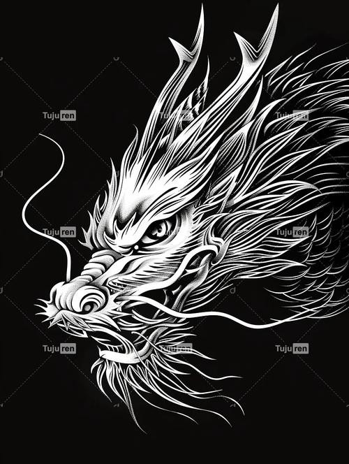 有沒有更多風格的龍頭圖片？【多種風格的龍頭圖片搜索結果整理水龍頭圖片搜索結果整理】