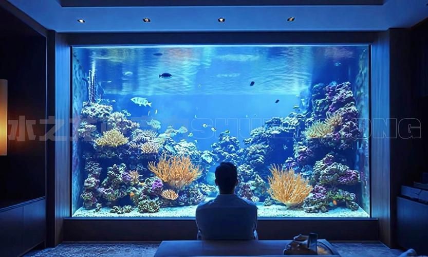 客廳魚缸的最佳擺放圖【《客廳魚缸的最佳擺放圖》*魚缸擺放有講究】 客廳魚缸的最佳擺放圖【《客廳魚缸的最佳擺放圖》*魚缸擺放有講究】 龍魚百科 第13張