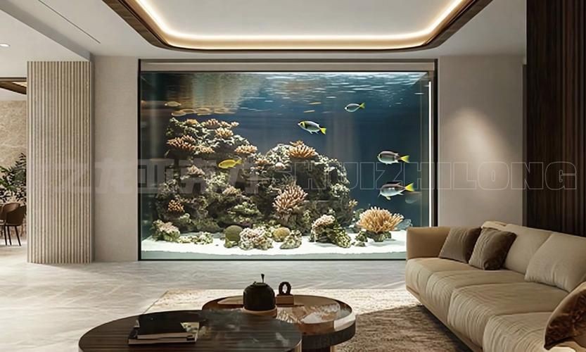 客廳魚缸的最佳擺放圖【《客廳魚缸的最佳擺放圖》*魚缸擺放有講究】 客廳魚缸的最佳擺放圖【《客廳魚缸的最佳擺放圖》*魚缸擺放有講究】 龍魚百科 第14張