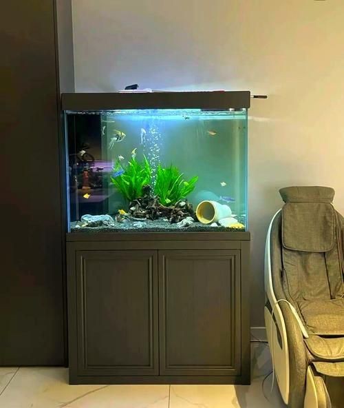 客廳魚缸的最佳擺放圖【《客廳魚缸的最佳擺放圖》*魚缸擺放有講究】 客廳魚缸的最佳擺放圖【《客廳魚缸的最佳擺放圖》*魚缸擺放有講究】 龍魚百科 第21張