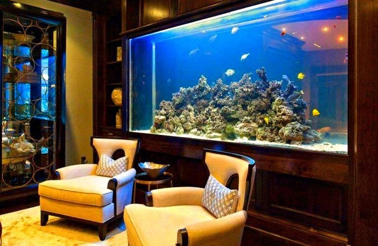 客廳魚缸的最佳擺放圖【《客廳魚缸的最佳擺放圖》*魚缸擺放有講究】 客廳魚缸的最佳擺放圖【《客廳魚缸的最佳擺放圖》*魚缸擺放有講究】 龍魚百科 第22張