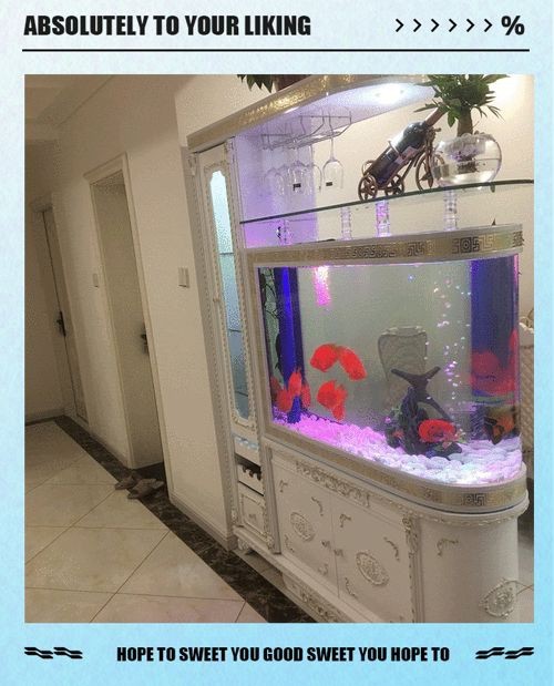 客廳魚缸的最佳擺放圖【《客廳魚缸的最佳擺放圖》*魚缸擺放有講究】 客廳魚缸的最佳擺放圖【《客廳魚缸的最佳擺放圖》*魚缸擺放有講究】 龍魚百科 第28張