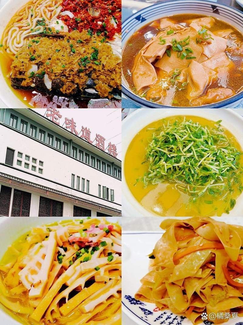 橫山龍魚店【橫山龍魚在古生態中的角色】