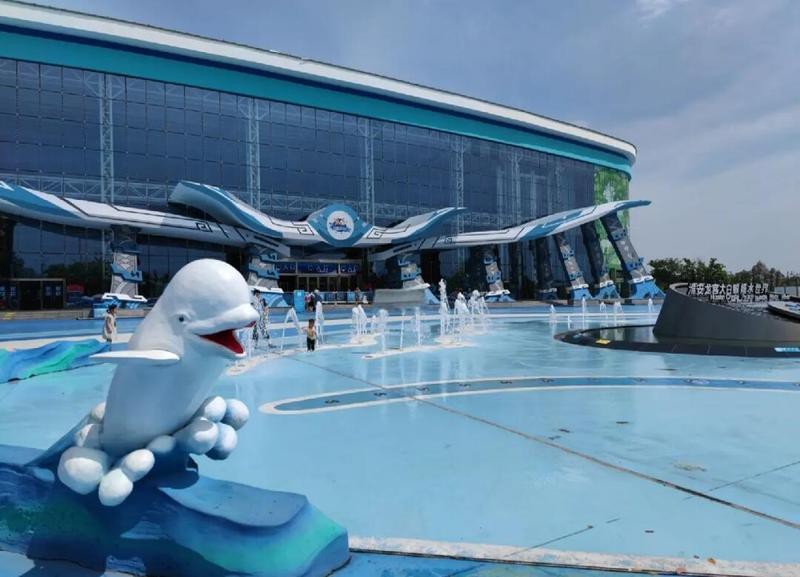 淮上水族店【別人家的水族店如何前往淮上水族店】