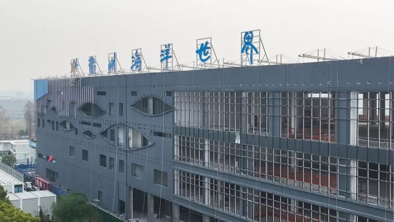 衢州水族店【衢州有哪些水族店？】
