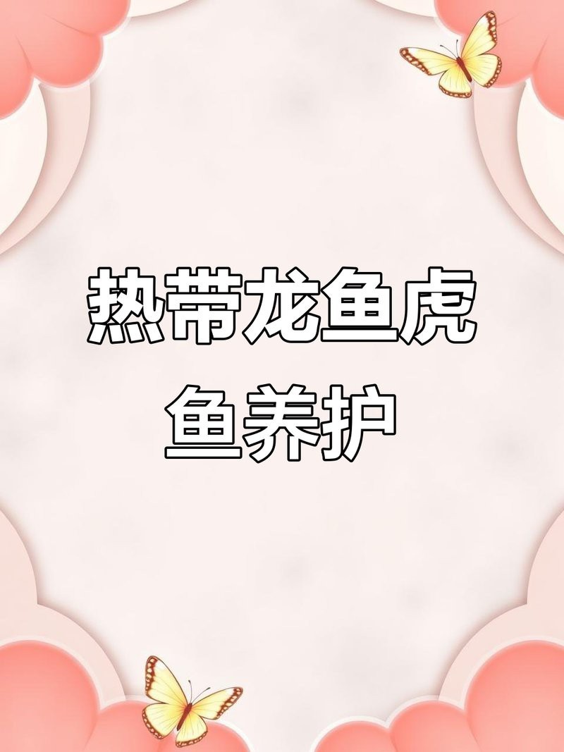 龍魚和虎魚誰旺誰【龍魚與虎魚混養(yǎng)的風(fēng)水作用及其相互關(guān)系】