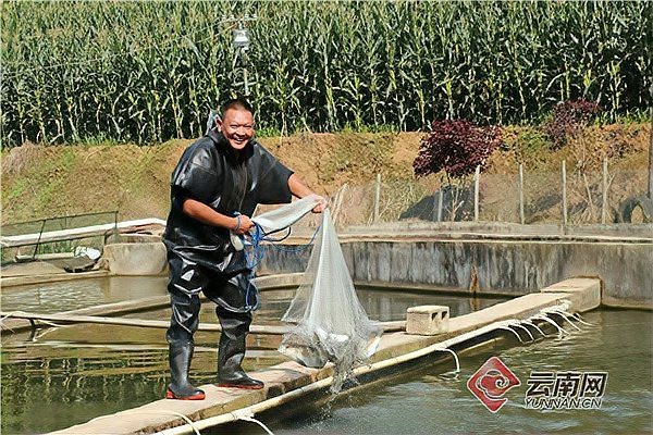 鎮康龍魚店【聽勸式鎮康龍魚店臨清高速要通車啦聽勸式鎮康深度游要通車啦】