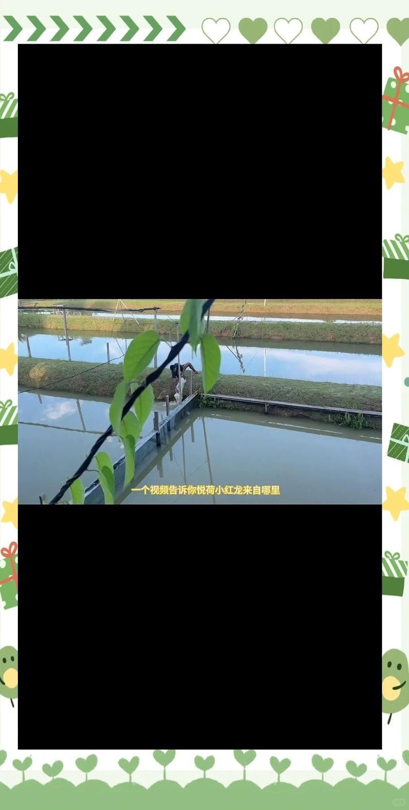 十大紅龍魚魚廠排名【《十大紅龍魚魚廠排名》**】