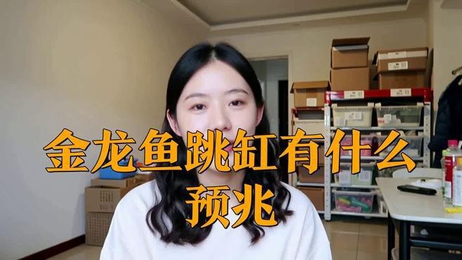 如何預防金龍魚再次跳缸？【金龍魚跳缸怎么辦三招輕松解決魚友愁魚兒老跳缸3招實操技巧】
