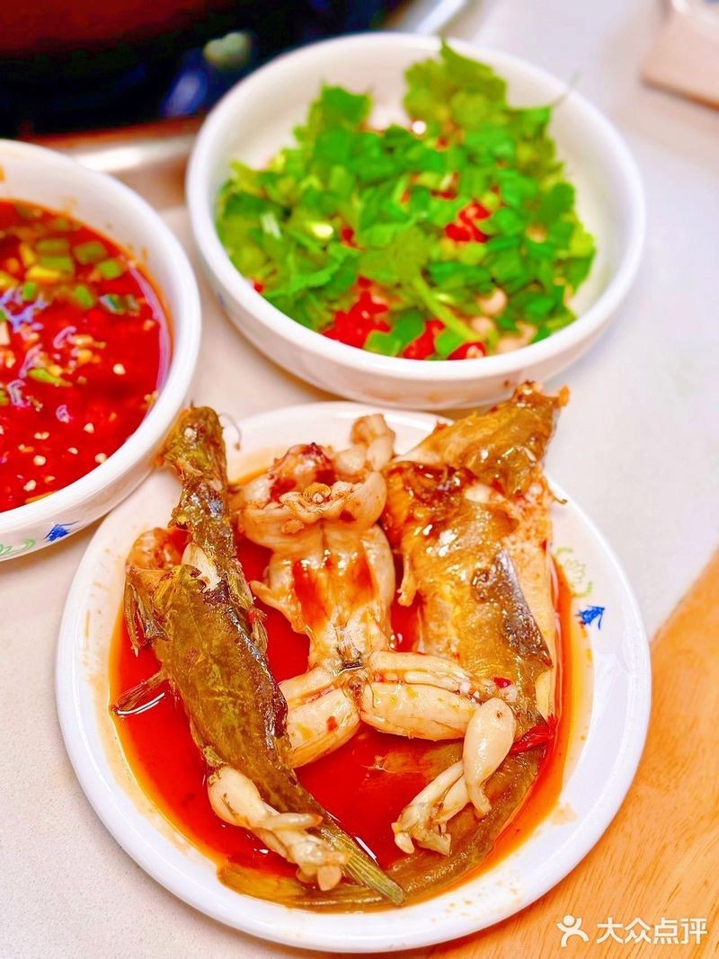 遂寧龍魚店【射洪市五龍魚店口碑如何遂寧有哪些賣龍魚的水族店】