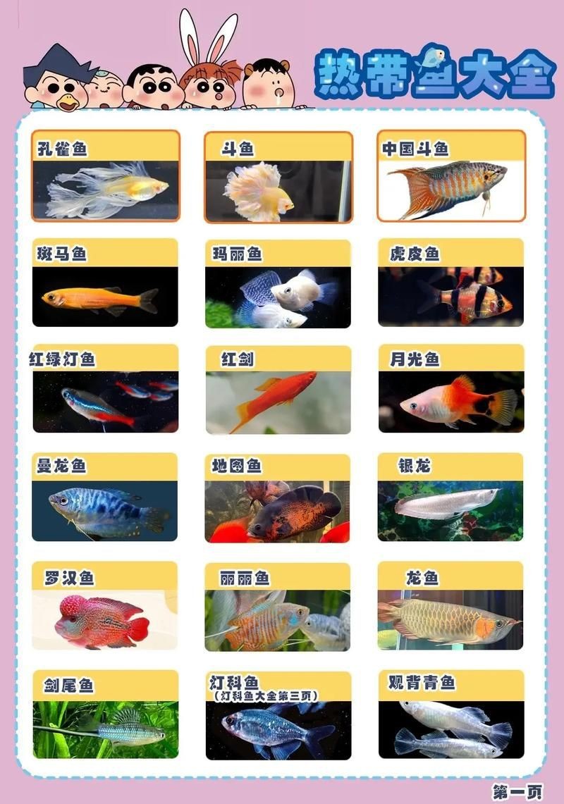 各種小魚圖片大全【小型魚類的獨特魅力】