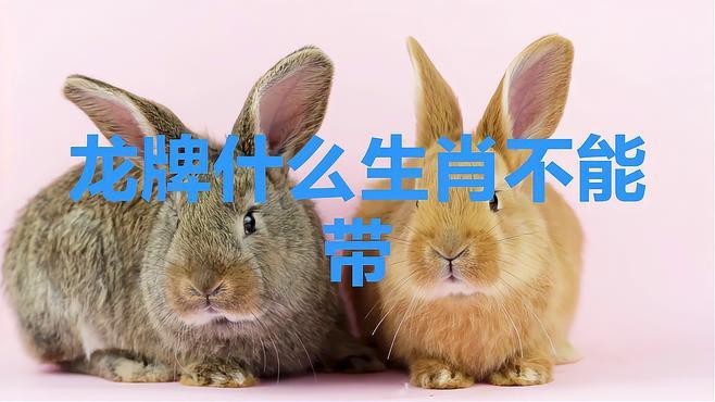 龍牌佩戴有哪些禁忌人群？【牌佩戴雖具吉祥寓意但部分人群需謹慎：龍牌佩戴有講究嗎】