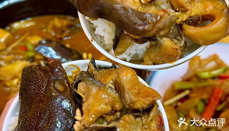 阿巴嘎龍魚店【三亞阿巴嘎龍魚店】 阿巴嘎龍魚店【三亞阿巴嘎龍魚店】 全國水族館企業名錄 第5張