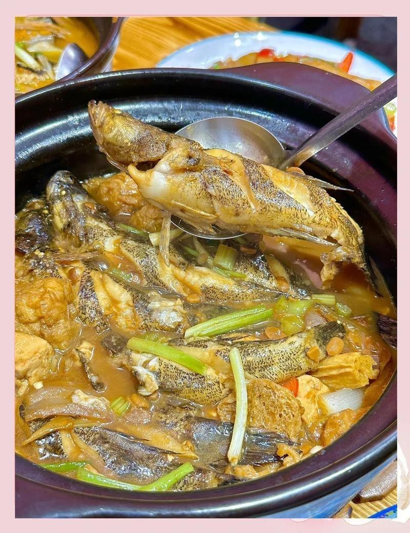 阿巴嘎龍魚店【三亞阿巴嘎龍魚店】 阿巴嘎龍魚店【三亞阿巴嘎龍魚店】 全國水族館企業名錄 第6張